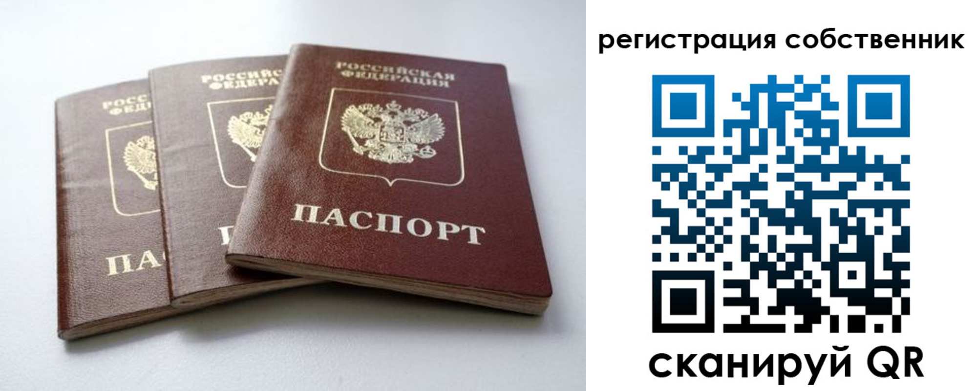 прописка для школы в Сураже